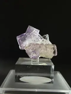 美結晶】フローライト 中国 ヤオガンシャン ポーセリン 鉱物標本