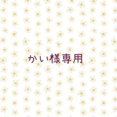 かい様専用ページ