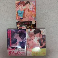 9月新刊☆彡指先から本気の熱情～チャラ男消防士はまっすぐな目で私を抱いた～12