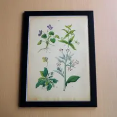 たんちゃん様 リクエスト 2点 まとめ商品