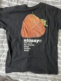 stüssy ストロベリーグラフィック Tシャツ Lサイズ
