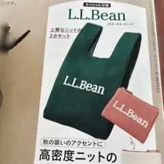 L.L.Bean 高密度ニット バッグ&ポーチ 2点セット