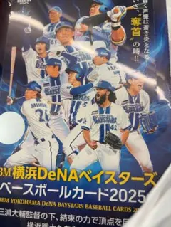 新品未開封 2025 BBM 横浜DeNAベイスターズ 1BOX