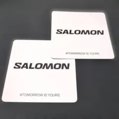 SALOMON ステッカー（2枚）
