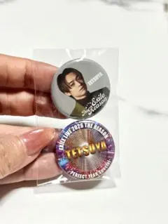 THE REASON TETSUYA 缶バッジ 2個セット