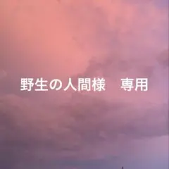 Item thumbnail for item cc426dc4-6e4a-4bfc-9f5c-66b52f8fba10