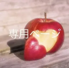 タカヤ様専用ページ