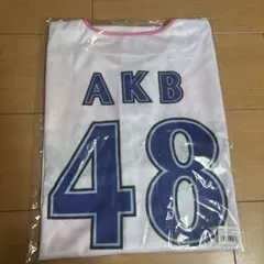 AKB48 ランダムアクリルスタンド 横浜DeNAベイスターズ 未開封品10個