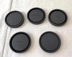 Item thumbnail for item 221e9d8d-0da2-4f14-9788-7978ec593143