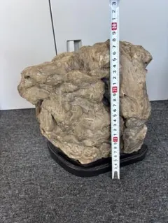 台座付き】珪化木 木の化石 2926g 鑑賞石 銘石 骨董 祖父の遺品 - メルカリ