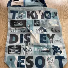 東京ディズニーリゾート エコバッグ