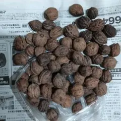 クルミ500グラム