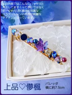 送料込【B級品】秋冬 綺麗な儚楓 シリーズ♡魅惑カラーでおすすめ