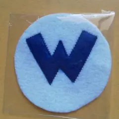 Item thumbnail for item a414990d-0949-4562-8bfd-3f4f7cf824fd