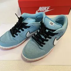 Nike SB Dunk Low Pro 