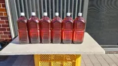 ⭐︎希少 【入手困難•廃業】木酢液クリア 500ml 木炭屋【新品未使用