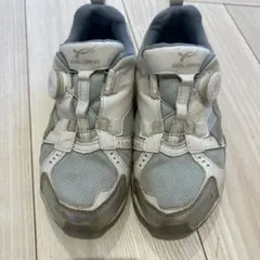 Item thumbnail for item c05f0fe4-88fe-4644-a324-d7febf6cca50