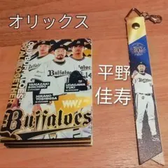 オリックス 平野佳寿 選手 ボンフィン キーホルダー