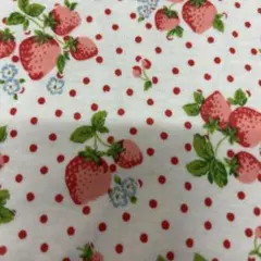 Item thumbnail for item c05a82a9-ec31-4ad3-b8c0-2a517aa2fe35