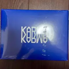 straykids karma K-POP