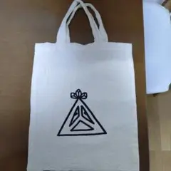 3点セット ENDRECHERI 堂本剛 トートバッグ、マルチケース Amazon.co.jp: ENDRECHERI エンドリケリー 堂本剛 キルティング