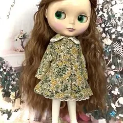 ネオブライス お人形遊び