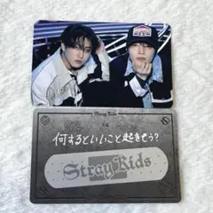 StrayKids アイエン チャンビン パンクルズ フォーチュンカード エコパ