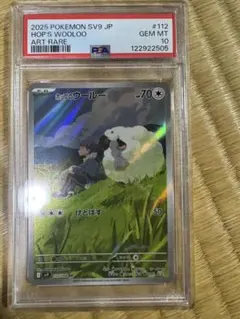 ポップのウール