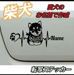 Item thumbnail for item 53228402-4546-42b8-bcff-24264b014990