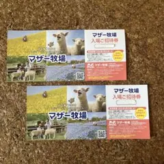 ２枚セット　マザー牧場 入場ご招待券 2枚セットのサムネイル