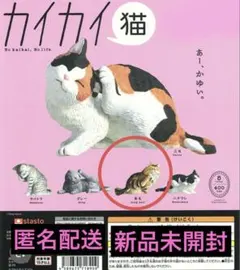 カイカイ猫 長毛 カプセルトイ フィギュア