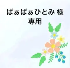 ばぁばぁひとみ様 専用