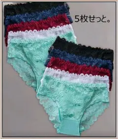 レディースショーツ【3L】