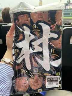 Item thumbnail for item 6462815b-8703-4541-8e50-7ba95f9a2bea