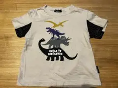 クレードスコープ　Tシャツ 恐竜　100サイズ