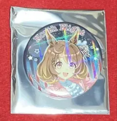 ウマ娘 東京メガイルミ ホロキャラバッジコレクション ノースフライト 大井競馬場のサムネイル