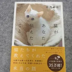 猫があなたに伝えたいこと