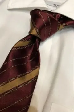 トゥモローランド タイ ②セブンフォールド社製 タイユアタイ アットヴァンヌッチ