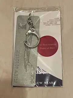 2026年最新】初日の出フライトの人気アイテム - メルカリ