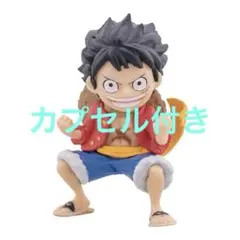 ワンピの実第一海戦モンキー・D・ルフィ