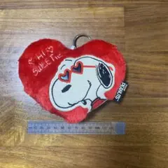美品　パスケース　リール付き　スヌーピー　ハート