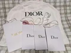 Dior ガーメントバック×ショッピングバッグ 4点