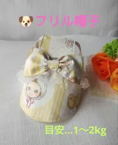 Item thumbnail for item 3c5c9196-f6d9-45f5-8945-ad62267c43aa