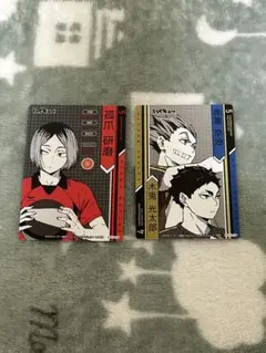 ハイキュー カード まとめ売り 孤爪研磨 木兎光太郎 赤葦京治 音駒 梟谷