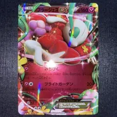 ポケモンカード フリーザーEX テラキオンEX フラージェスEX バクーダEX バクーダEX | ポケモンカードゲーム公式ホームページ