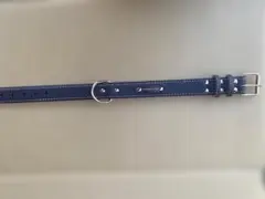 Item thumbnail for item 422a5af4-cf20-4fc5-a5ce-24260564e591