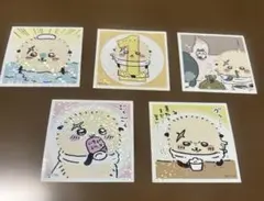 ラッコ先生　ステッカー　シール5枚　 ちいかわ