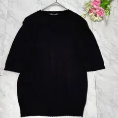 エメルミュー 半袖リブニット黒 Fエメ系きれいめ上品シンプル着回しモノトーン綿のサムネイル