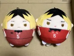 ！！専用！！ 【未開封】ハイキュー 孤爪研磨 ふわコロりん 17点まとめ売り Amazon.co.jp: ハイキュー!! ふわコロりんBIG スペシャル E 孤爪