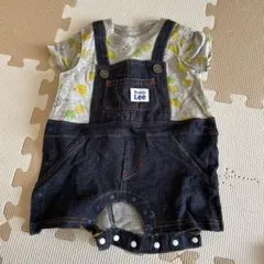 Item thumbnail for item 541442fe-3daf-414a-93ec-e1551b538302